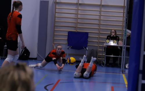 IMG 6900